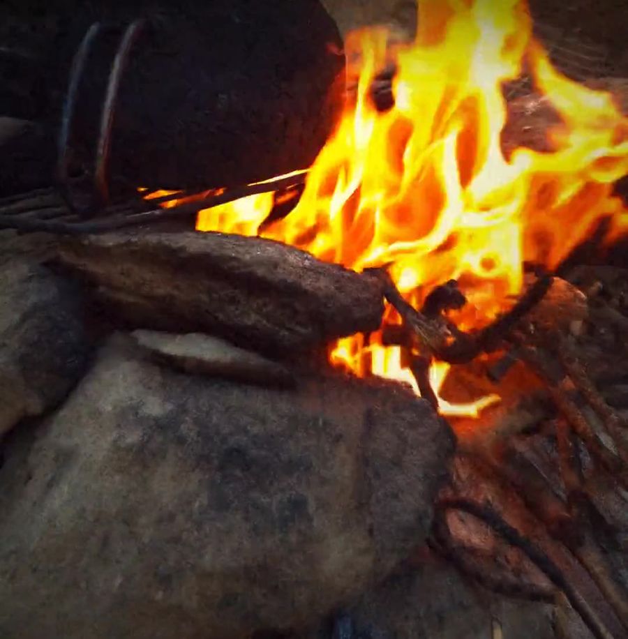 Fogón encendido con leña de pino entre piedras