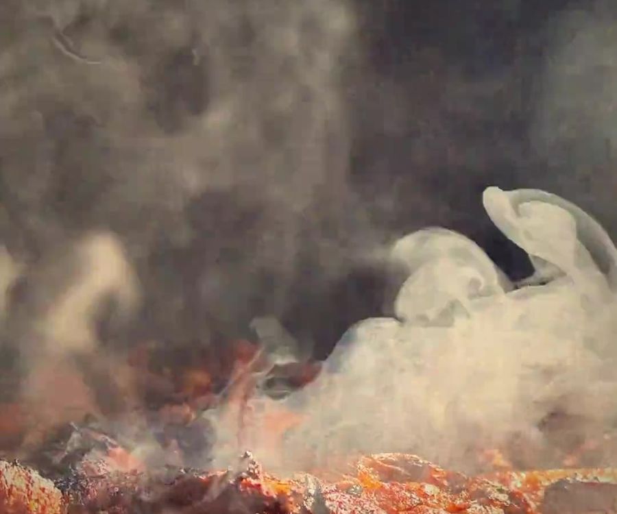 Carne de cerdo ahumándose sobre la parrilla
