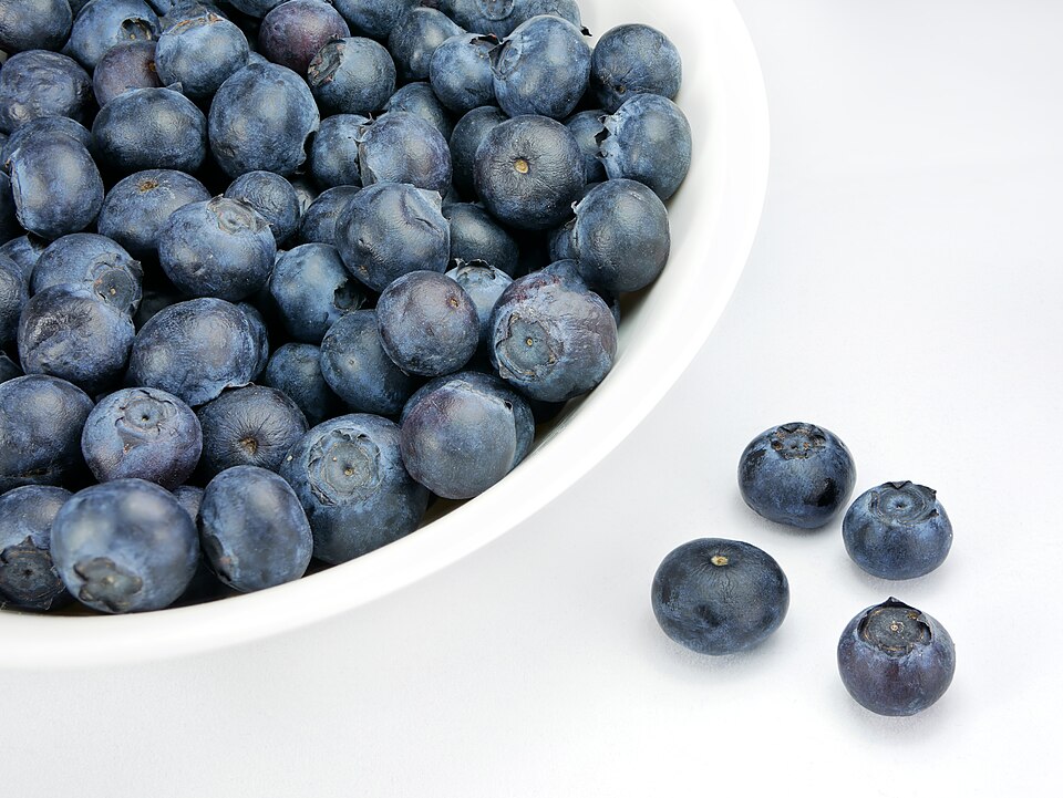 Blueberry (arándano azul)